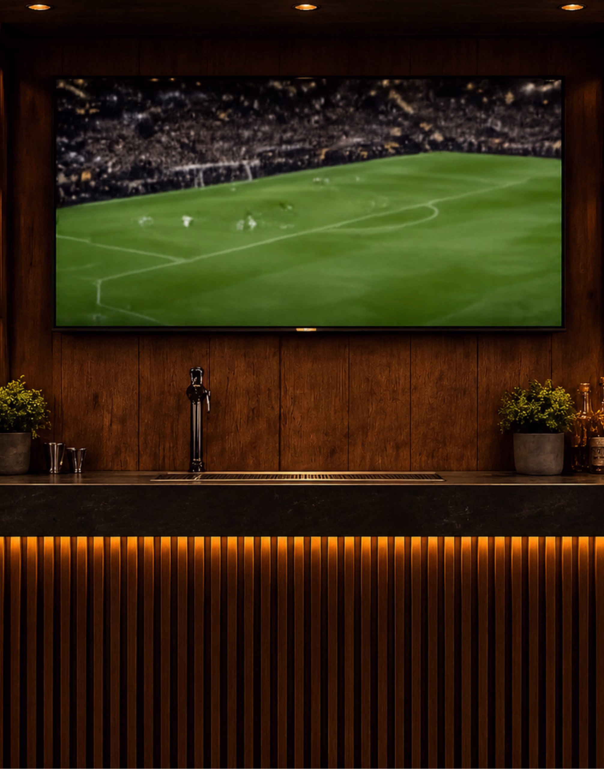 Outdoor Kitchen TV